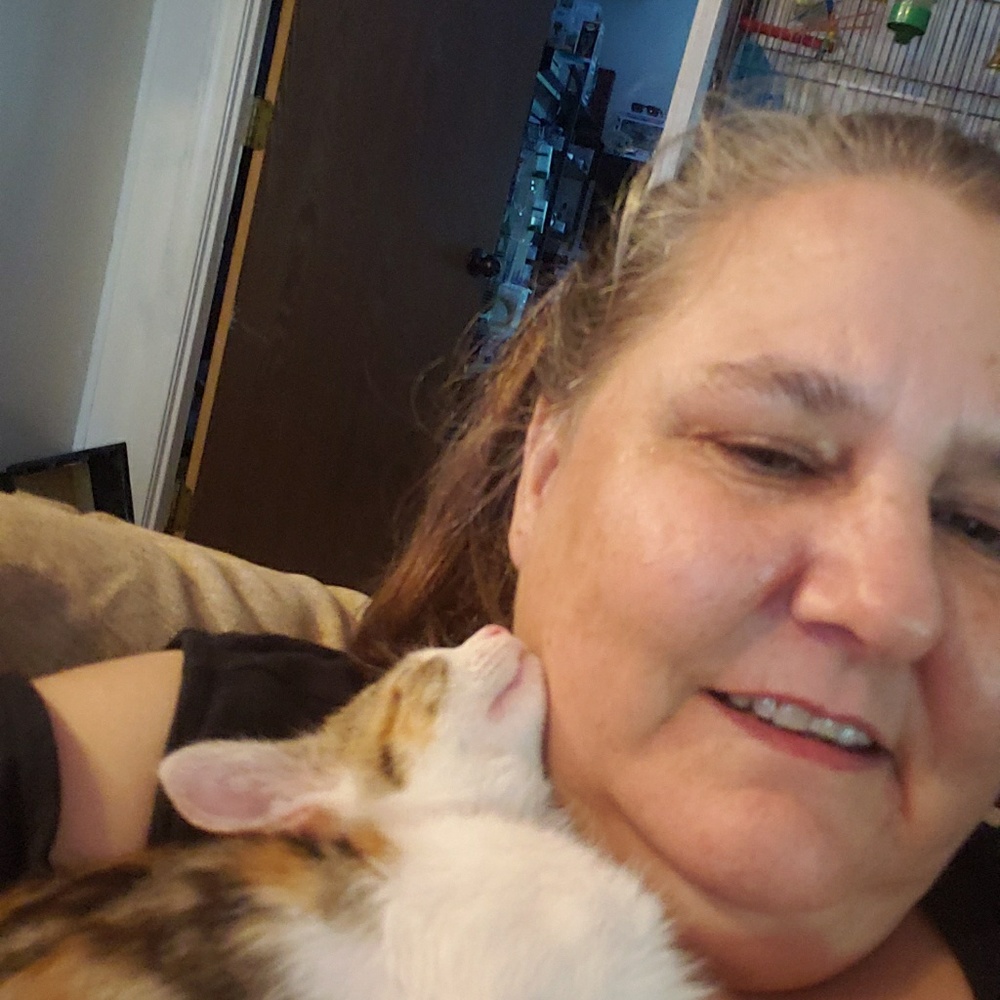 Meet your Posher, Lorey